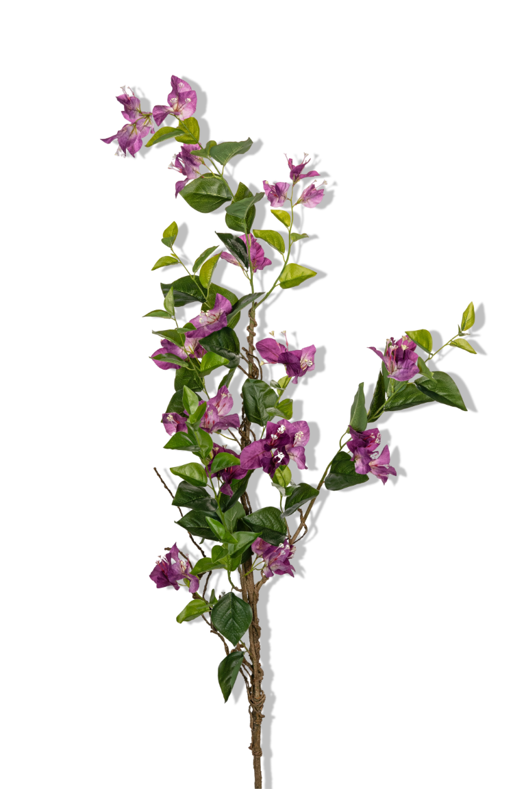 https://cdn.warentuin.nl/media/catalog/product/S/C/SCAN5414088389646_01_louis_maes_bougainvillea_l130cm_paars_kunstbloem_a60f.png