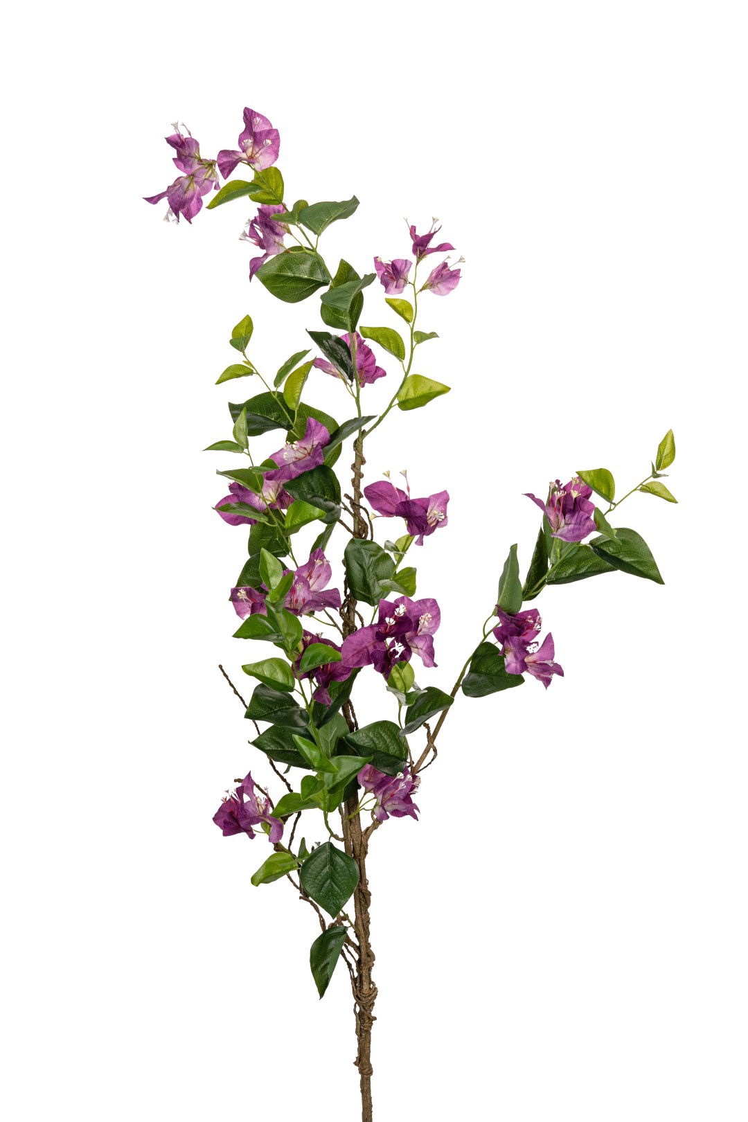https://cdn.warentuin.nl/media/catalog/product/S/C/SCAN5414088389646_louis_maes_kunstbloem_bougainvillea_l130cm_paars_kunstbloem_l_19b5.jpg
