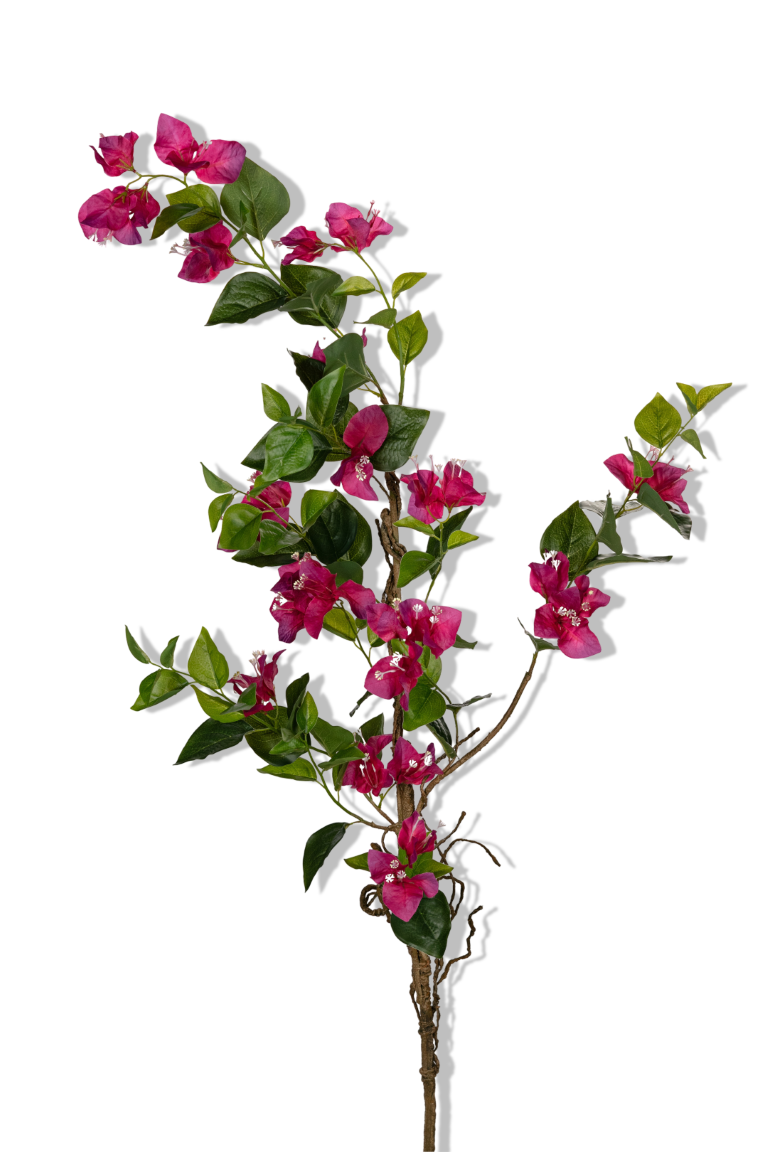 https://cdn.warentuin.nl/media/catalog/product/S/C/SCAN5414088389653_01_louis_maes_bougainvillea_l130cm_cerise_kunstbloem_850c.png