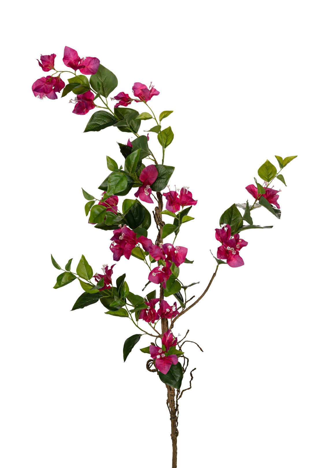 https://cdn.warentuin.nl/media/catalog/product/S/C/SCAN5414088389653_louis_maes_kunstbloem_bougainvillea_l130cm_cerise_kunstbloem__05e5.jpg