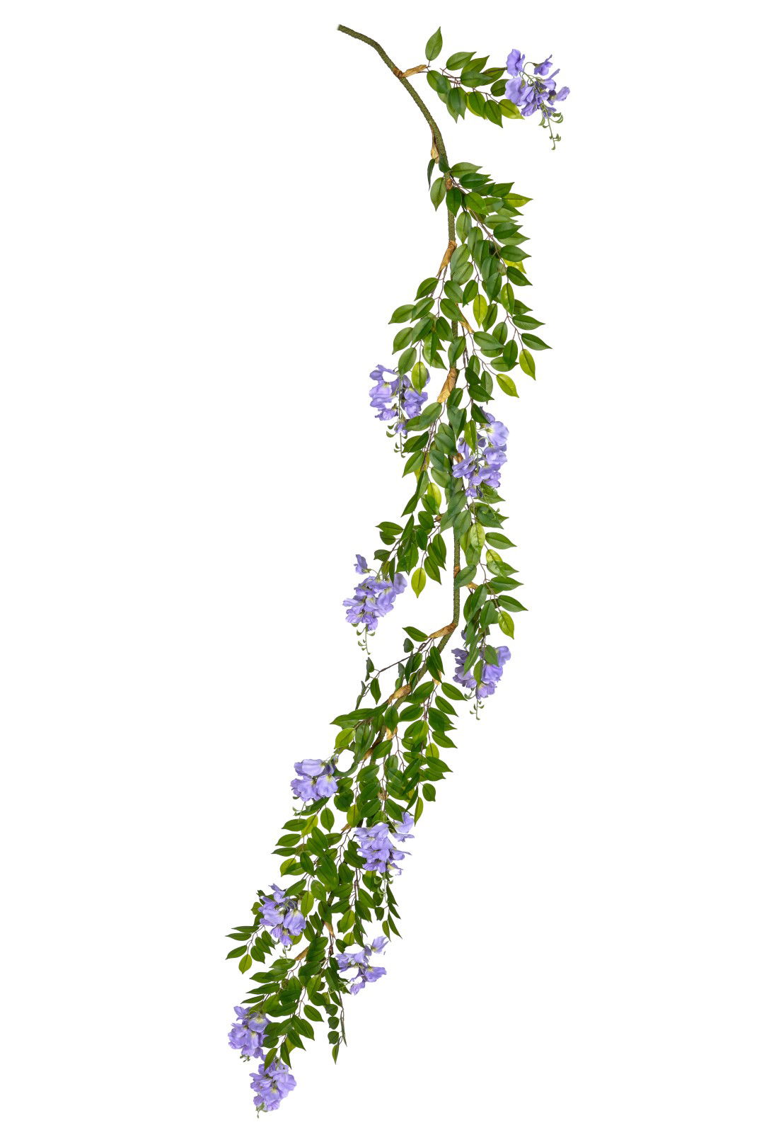 https://cdn.warentuin.nl/media/catalog/product/S/C/SCAN5414088390123_louis_maes_kunstbloem_wisteria_guirlande_l225cm_lila_kunstblo_1c7a.jpg