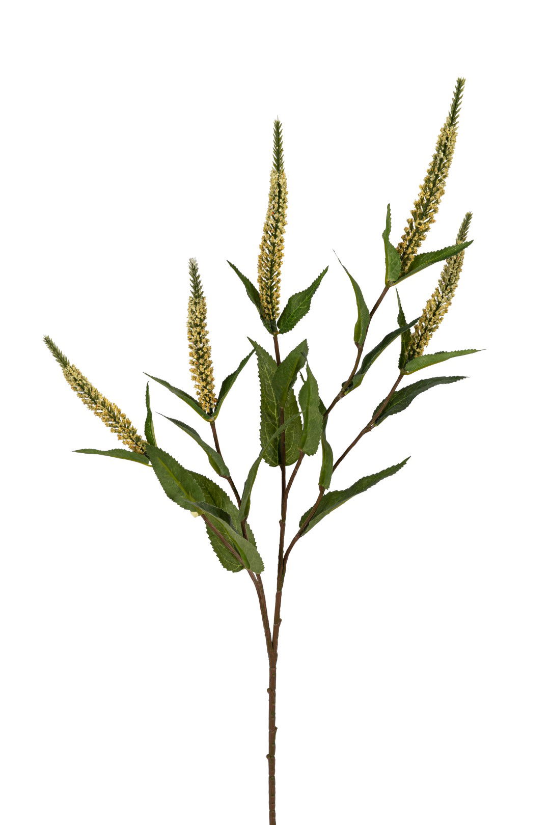 https://cdn.warentuin.nl/media/catalog/product/S/C/SCAN5414088390321_louis_maes_kunstbloem_veronica_l70cm_geel_kunstbloem_louis_ma_a66e.jpg