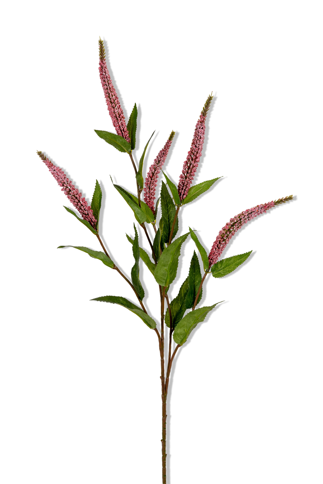 https://cdn.warentuin.nl/media/catalog/product/S/C/SCAN5414088390338_01_louis_maes_veronica_l70cm_roze_kunstbloem_1f9a.png