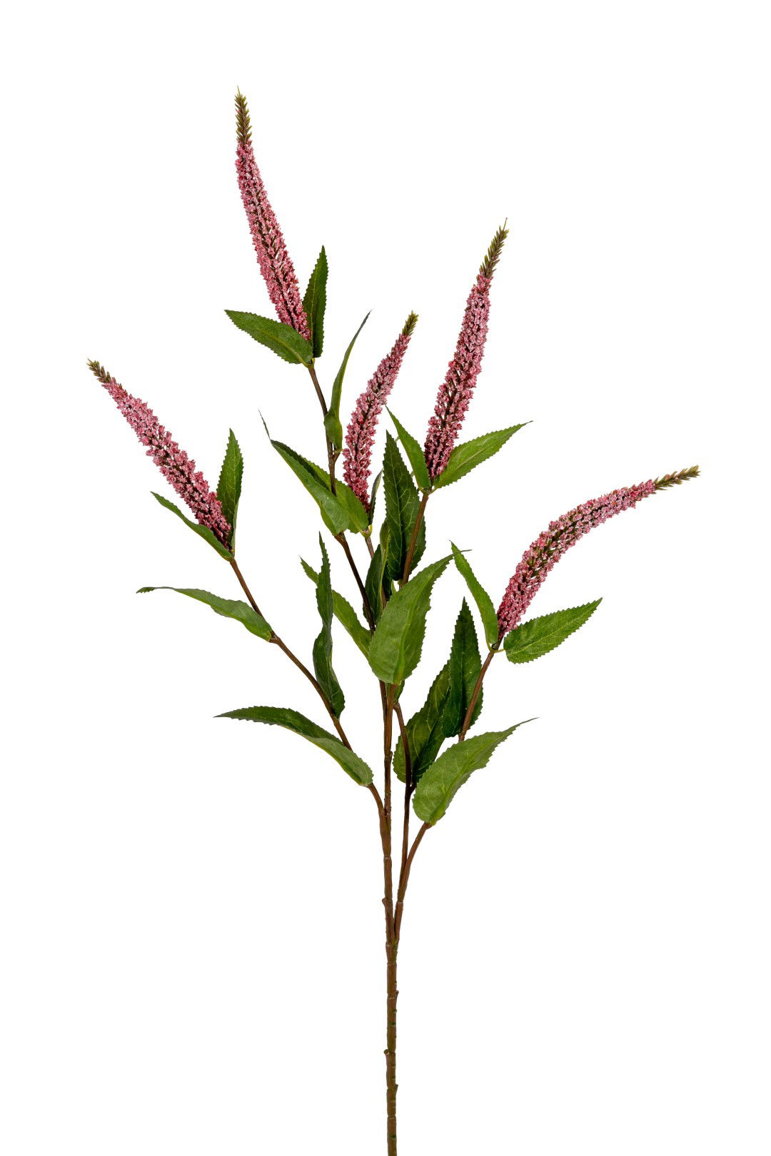 https://cdn.warentuin.nl/media/catalog/product/S/C/SCAN5414088390338_louis_maes_kunstbloem_veronica_l70cm_roze_kunstbloem_louis_ma_12fa.jpg