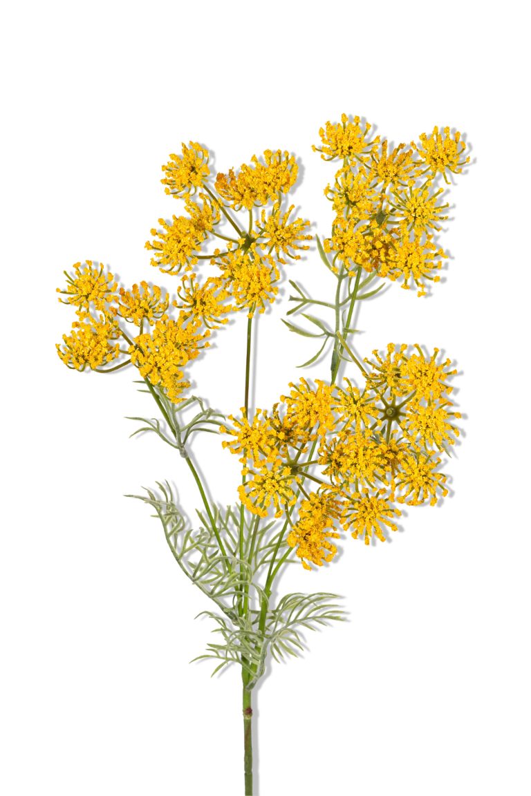 https://cdn.warentuin.nl/media/catalog/product/S/C/SCAN5414088390352_01_louis_maes_wildwortel_l80cm_geel_kunstbloem_b2bd.png