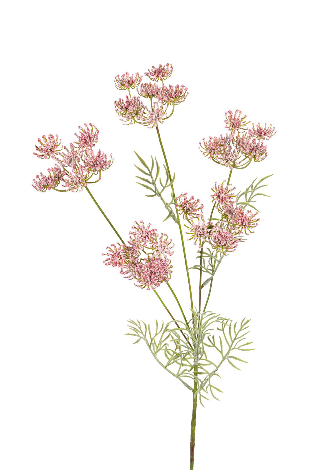 Louis maes Wildwortel l80cm roze kunstbloem  - 