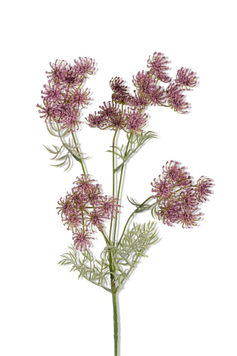 https://cdn.warentuin.nl/media/catalog/product/S/C/SCAN5414088390376_01_louis_maes_wildwortel_l80cm_lila_kunstbloem_36e2.png
