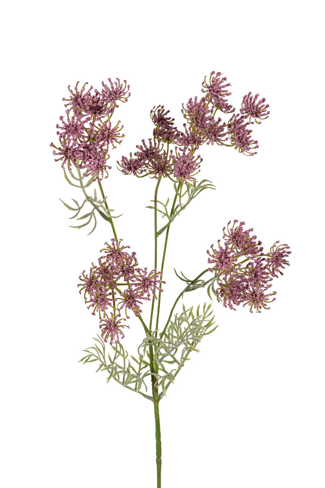 Louis maes Wildwortel l80cm lila kunstbloem  - 
