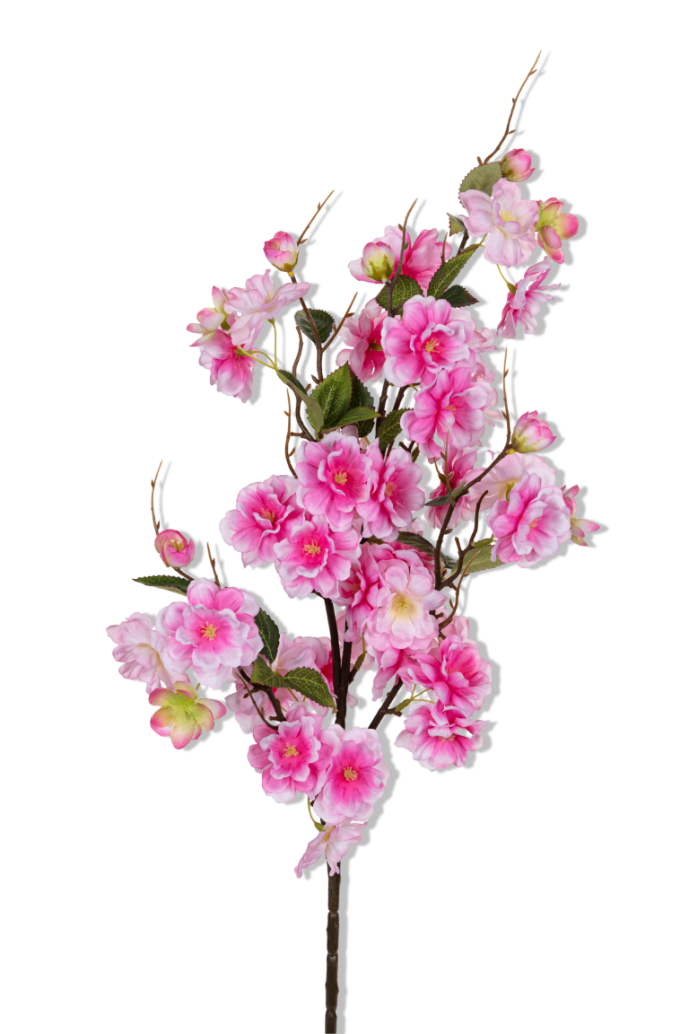 https://cdn.warentuin.nl/media/catalog/product/S/C/SCAN5414088390437_01_louis_maes_bloesem_l89cm_dnkr_roze_kunstbloem_5428.png