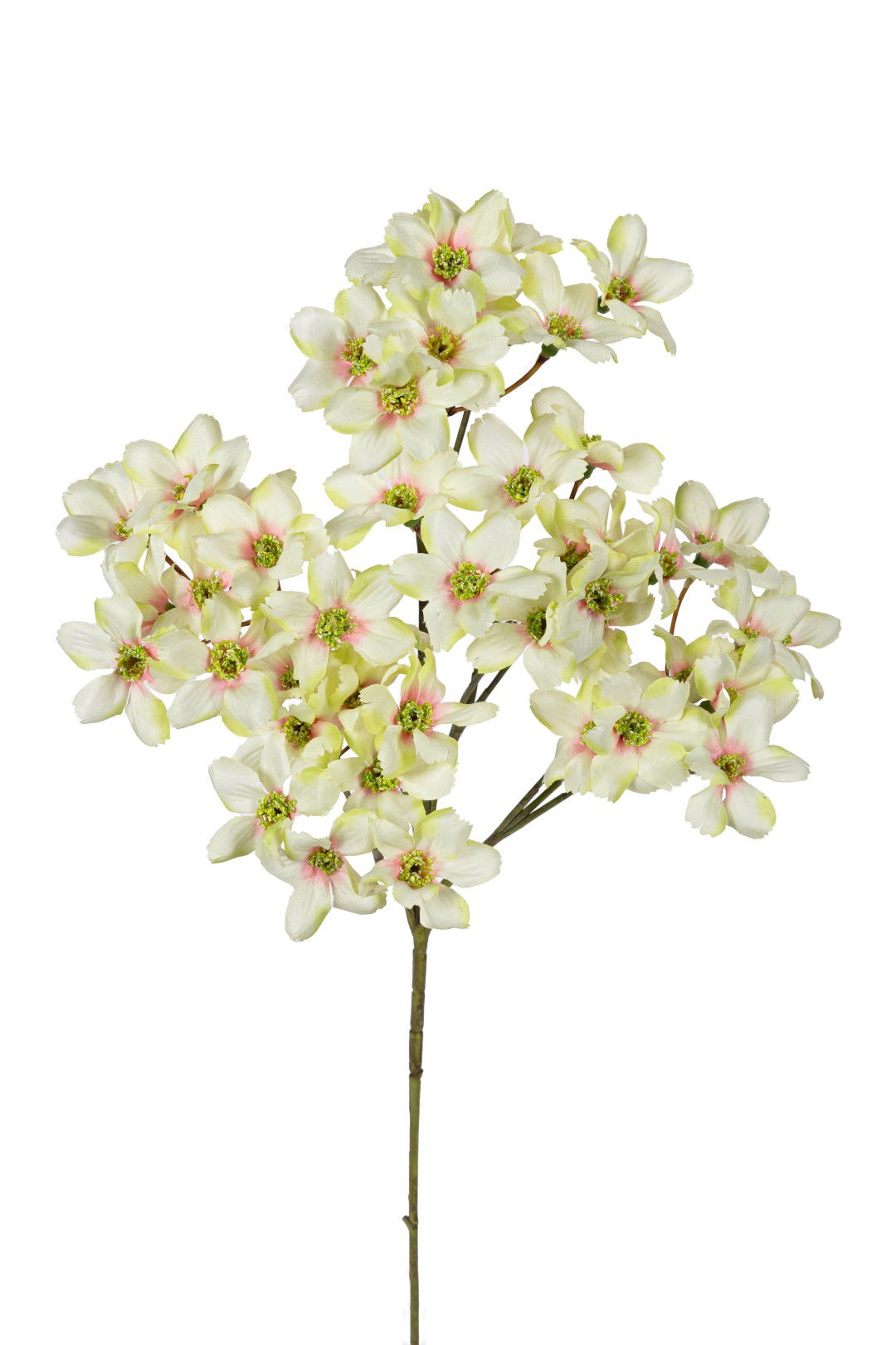 https://cdn.warentuin.nl/media/catalog/product/S/C/SCAN5414088390468_louis_maes_kunstbloem_dogwood_mini_l69cm_lt_groen_kunstbloem__2bf2.jpg
