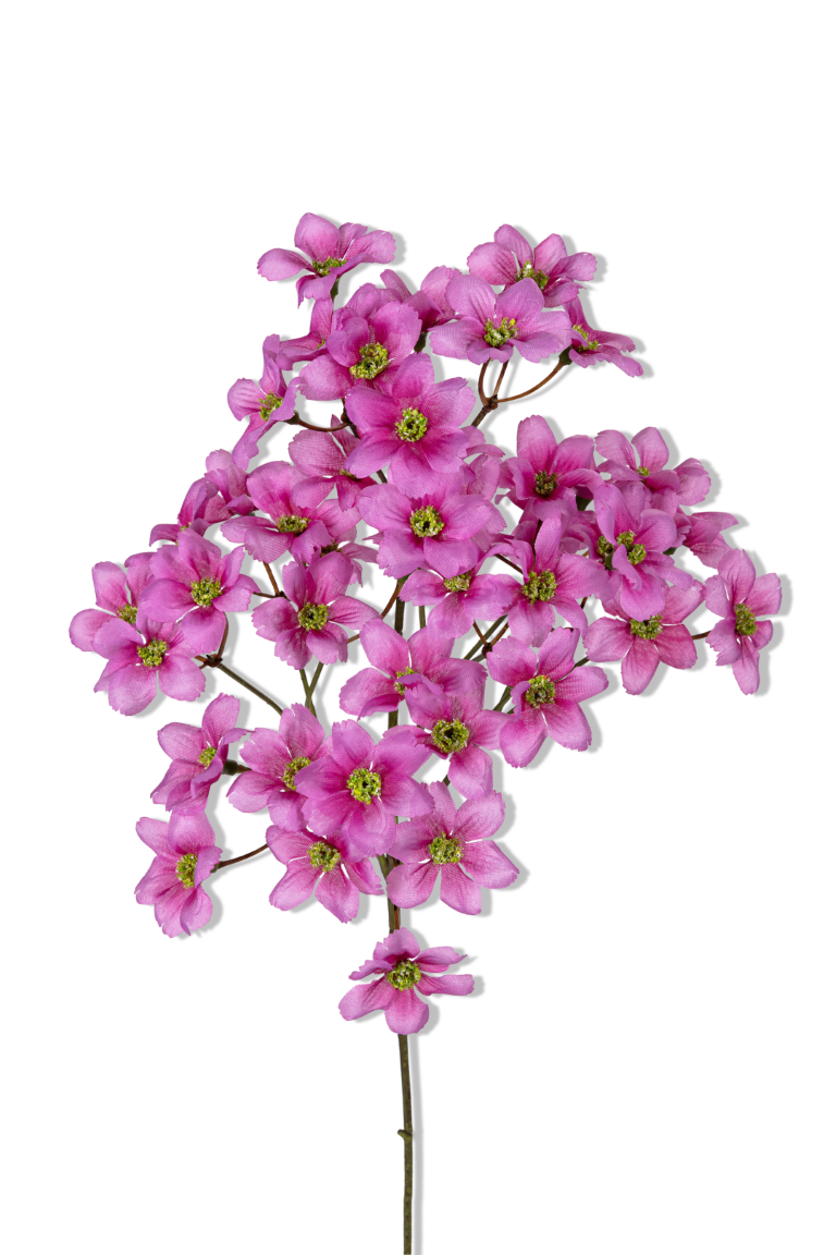 https://cdn.warentuin.nl/media/catalog/product/S/C/SCAN5414088390475_01_louis_maes_dogwood_mini_l69cm_magenta_kunstbloem_e67d.png