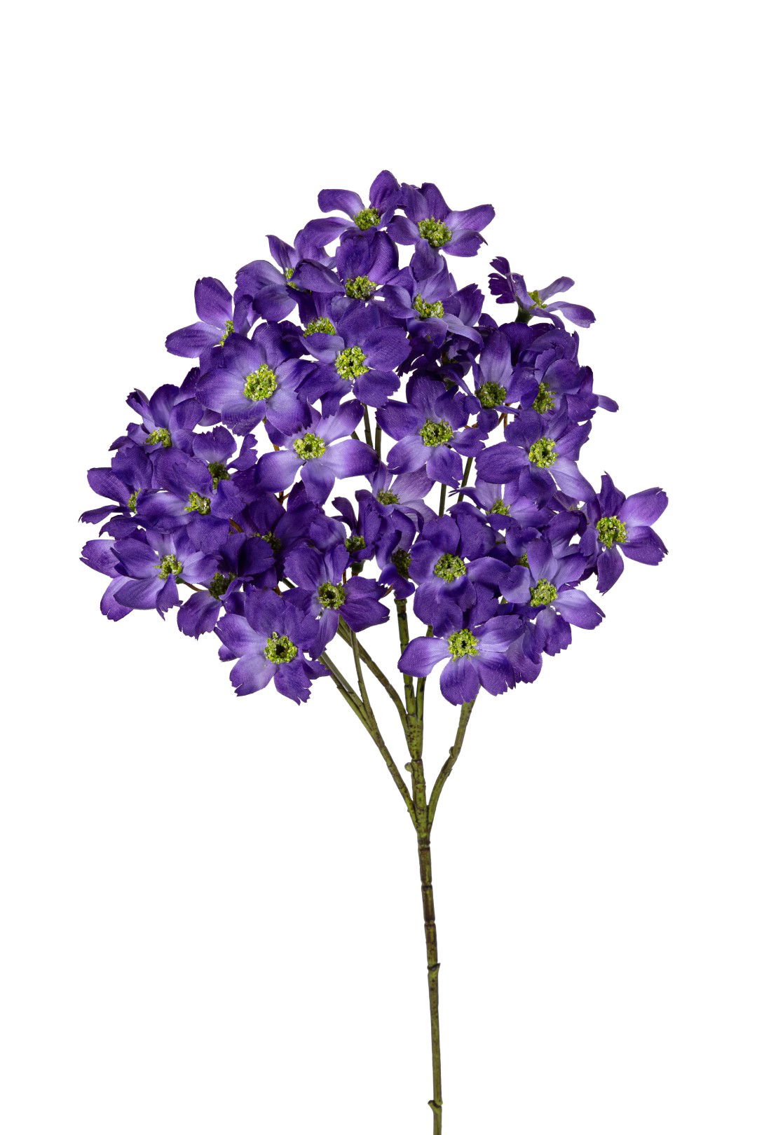 https://cdn.warentuin.nl/media/catalog/product/S/C/SCAN5414088390482_louis_maes_kunstbloem_dogwood_mini_l69cm_paars_kunstbloem_lou_8578.jpg