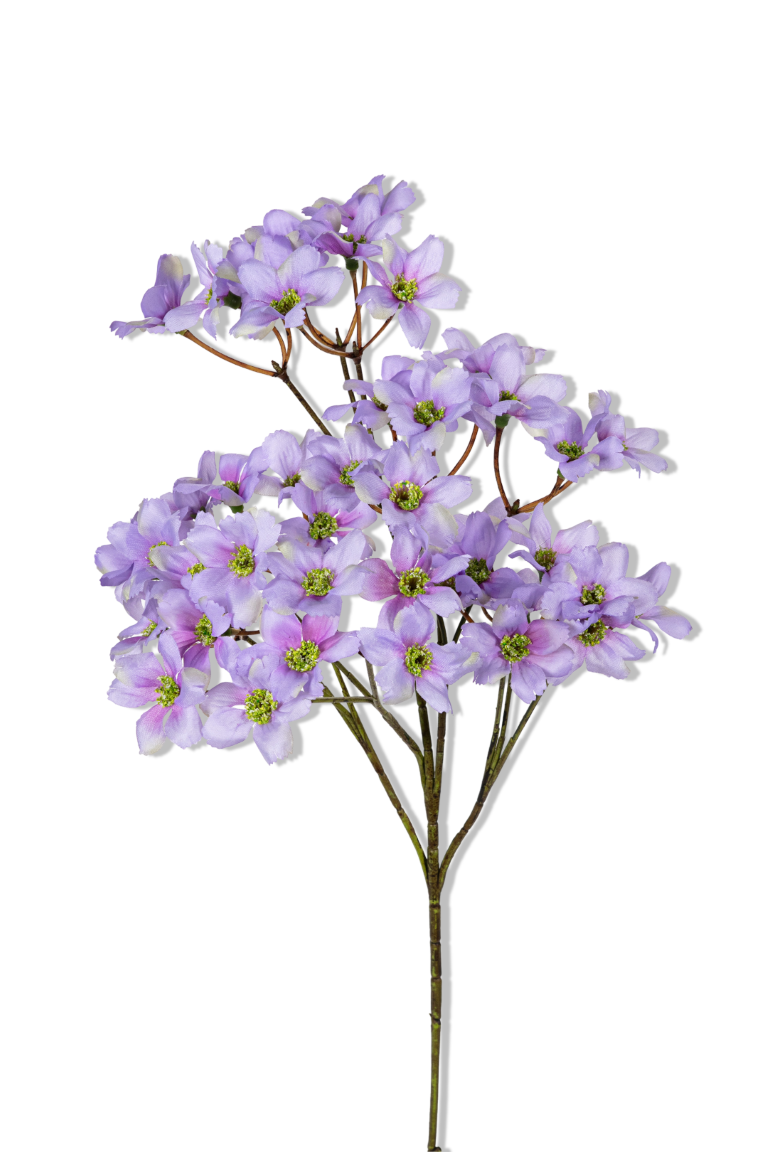 https://cdn.warentuin.nl/media/catalog/product/S/C/SCAN5414088390499_01_louis_maes_dogwood_mini_l69cm_lila_kunstbloem_8db8.png