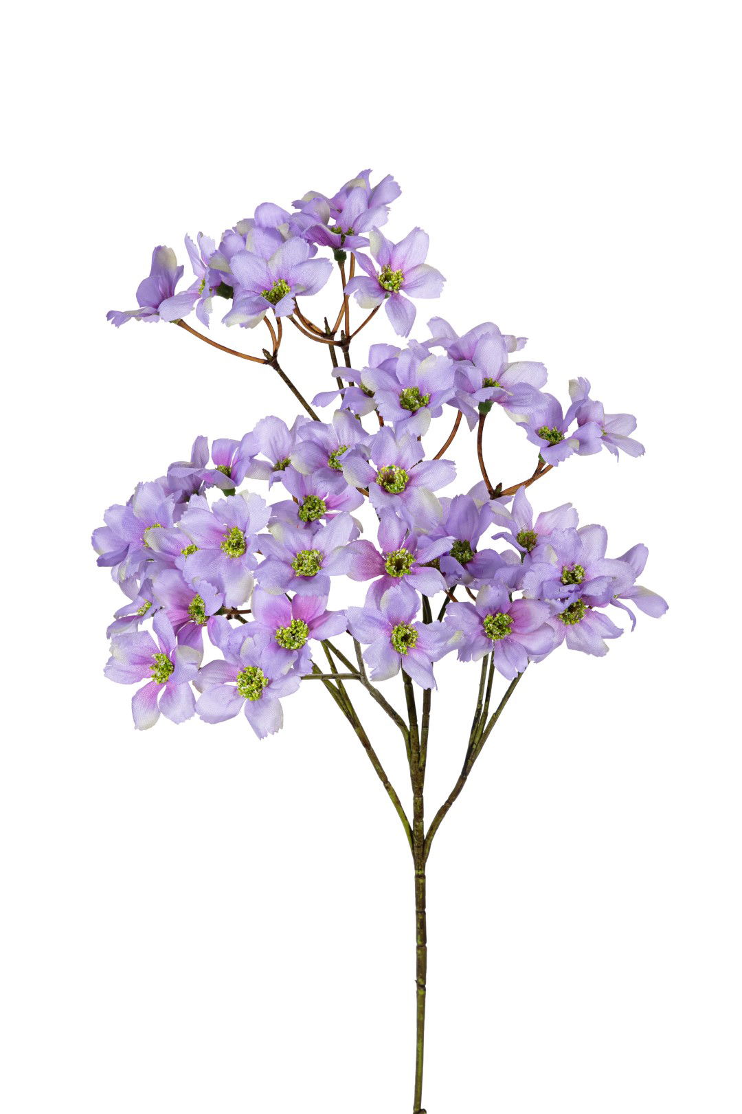 https://cdn.warentuin.nl/media/catalog/product/S/C/SCAN5414088390499_louis_maes_kunstbloem_dogwood_mini_l69cm_lila_kunstbloem_loui_9405.jpg