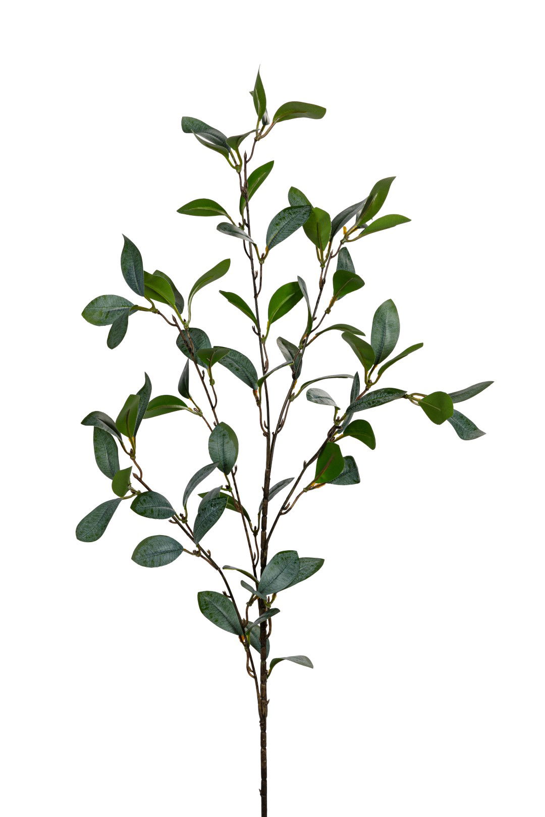 https://cdn.warentuin.nl/media/catalog/product/S/C/SCAN5414088390697_louis_maes_kunstbloem_blad_l88cm_groen_grijs_kunstbloem_louis_5b70.jpg