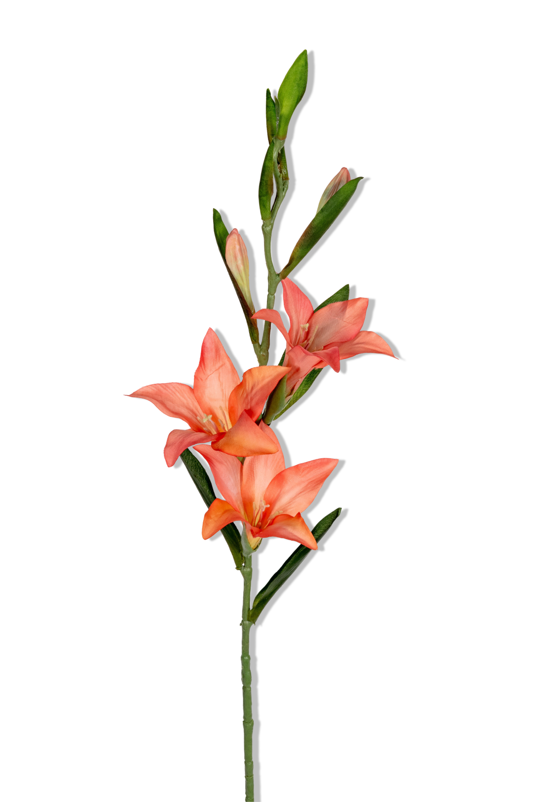 https://cdn.warentuin.nl/media/catalog/product/S/C/SCAN5414088390871_01_louis_maes_gladiolus_l70cm_zalm_kunstbloem_3cf3.png