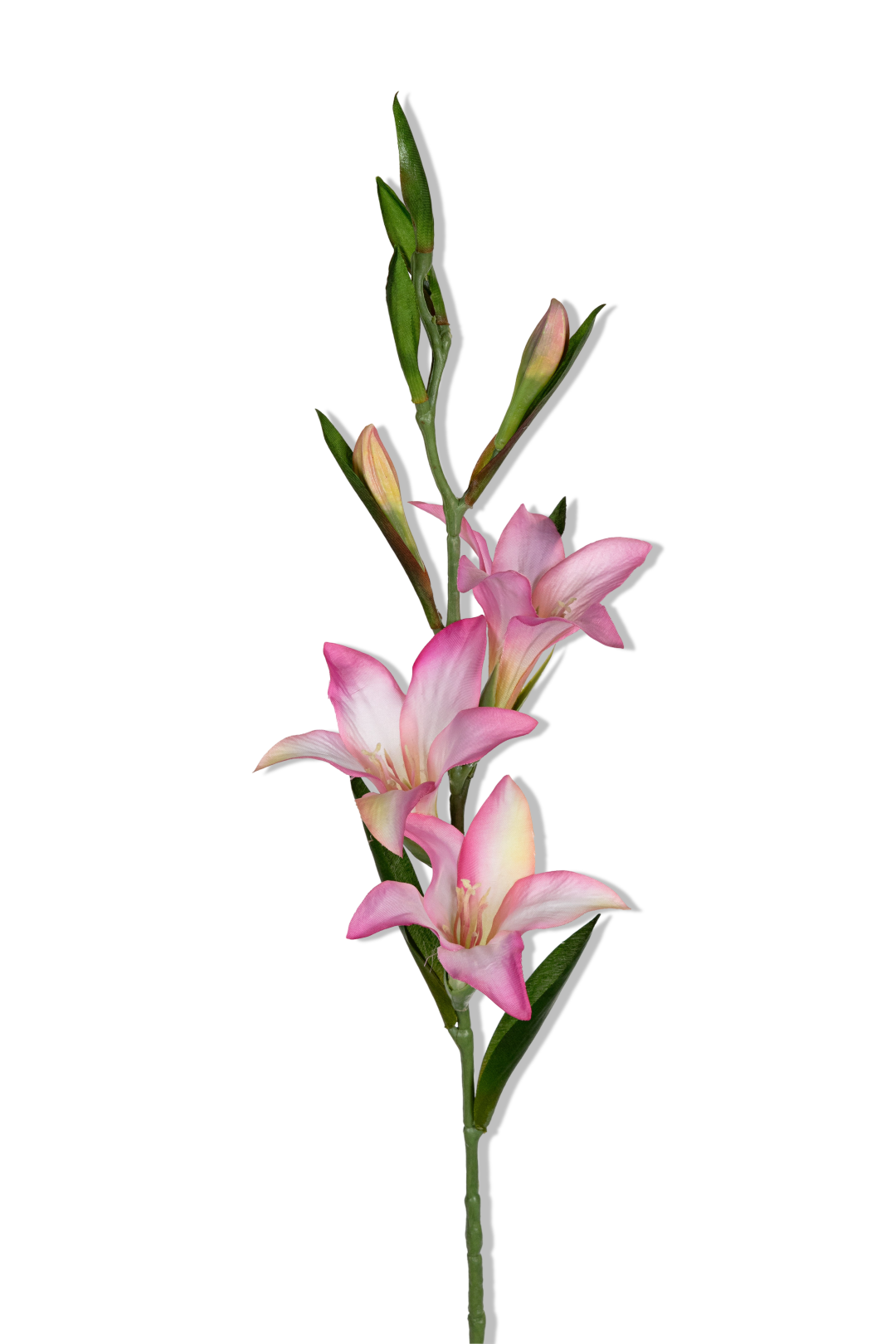 https://cdn.warentuin.nl/media/catalog/product/S/C/SCAN5414088390888_01_louis_maes_gladiolus_l70cm_roze_kunstbloem_b542.png