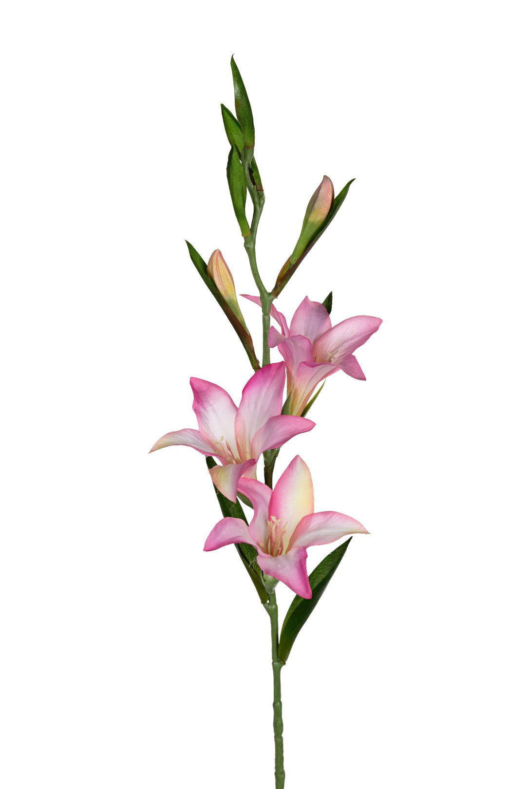 https://cdn.warentuin.nl/media/catalog/product/S/C/SCAN5414088390888_louis_maes_kunstbloem_gladiolus_l70cm_roze_kunstbloem_louis_m_bb13.jpg