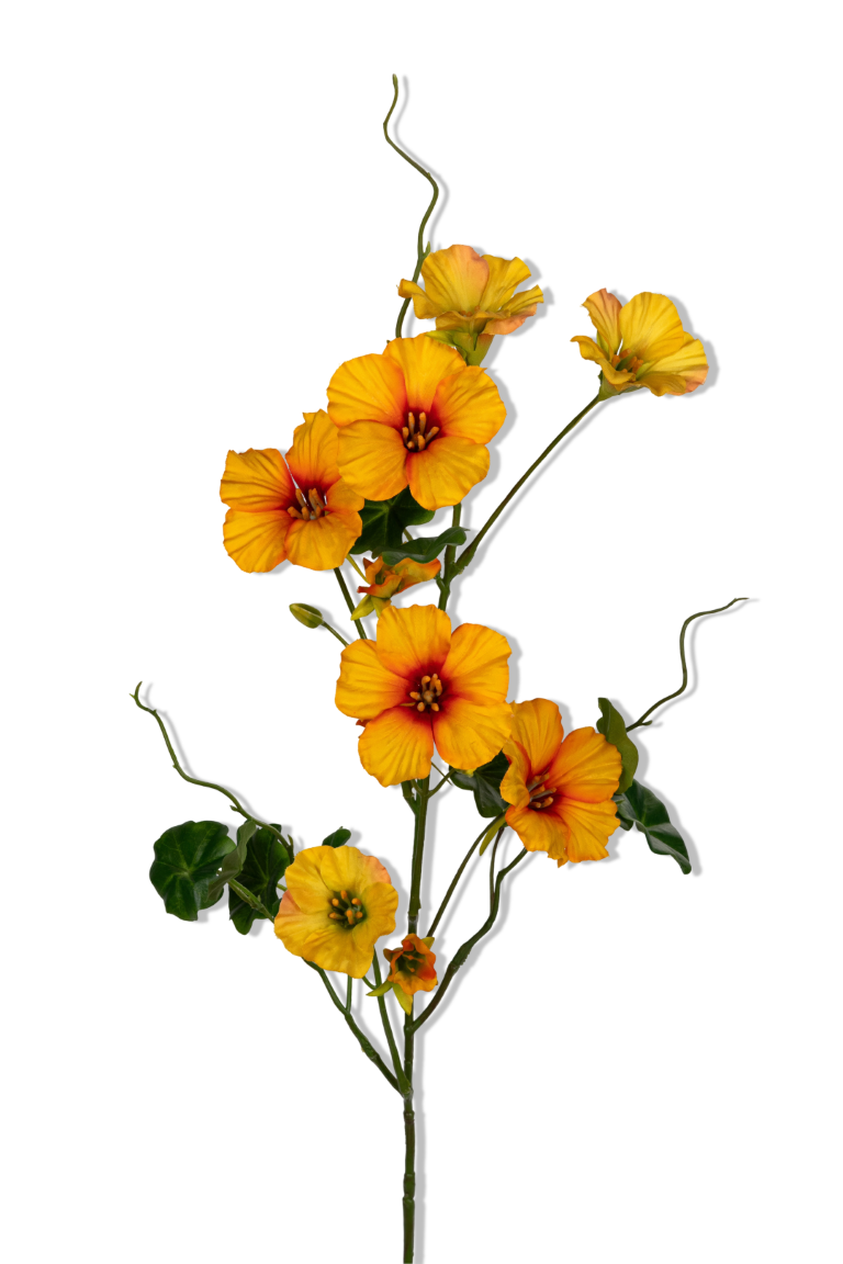 https://cdn.warentuin.nl/media/catalog/product/S/C/SCAN5414088390895_01_louis_maes_nasturium_l78cm_geel_kunstbloem_7b70.png