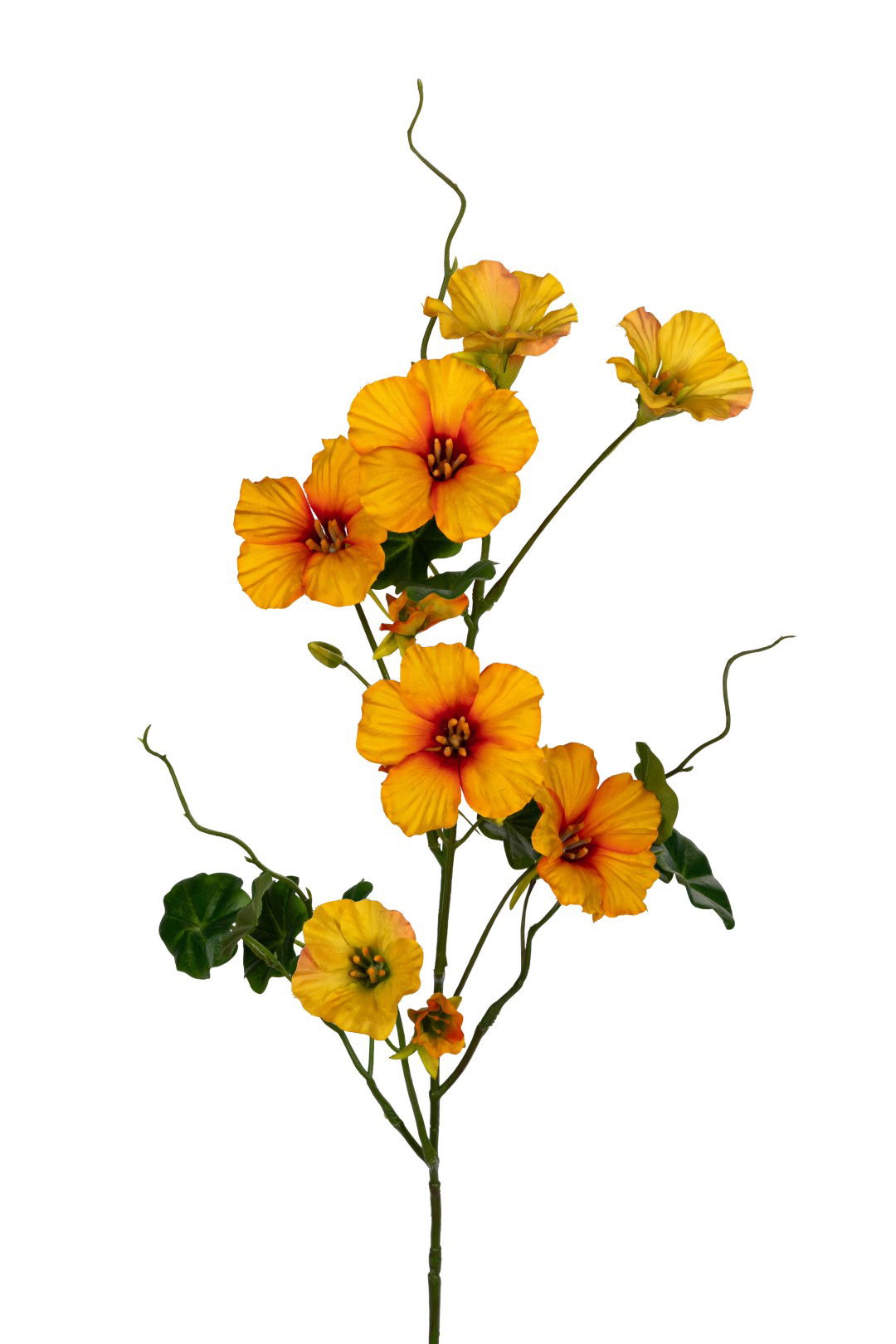 https://cdn.warentuin.nl/media/catalog/product/S/C/SCAN5414088390895_louis_maes_kunstbloem_nasturium_l78cm_geel_kunstbloem_louis_m_bfef.jpg