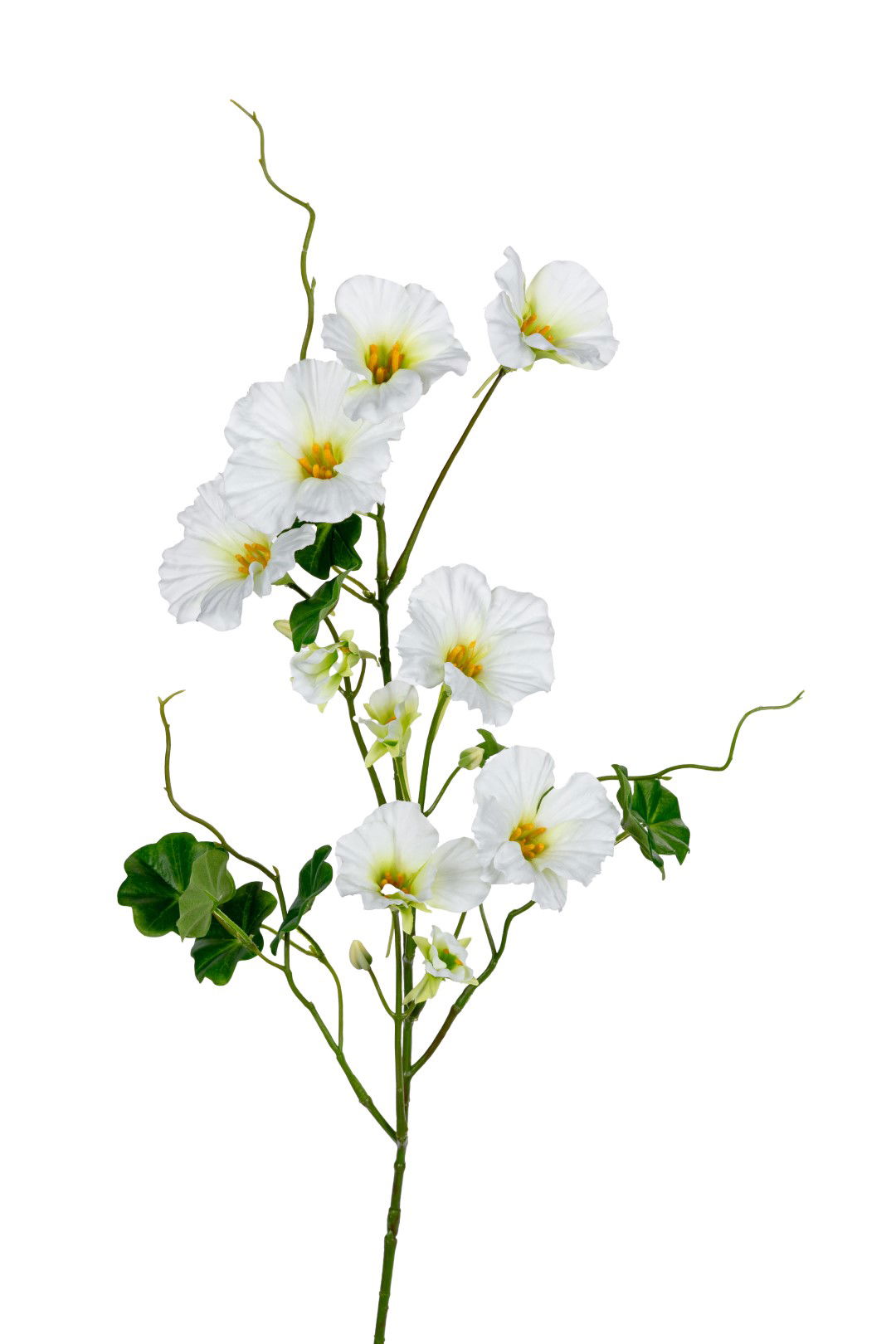 https://cdn.warentuin.nl/media/catalog/product/S/C/SCAN5414088390918_louis_maes_kunstbloem_nasturium_l78cm_wit_groen_kunstbloem_lo_603d.jpg