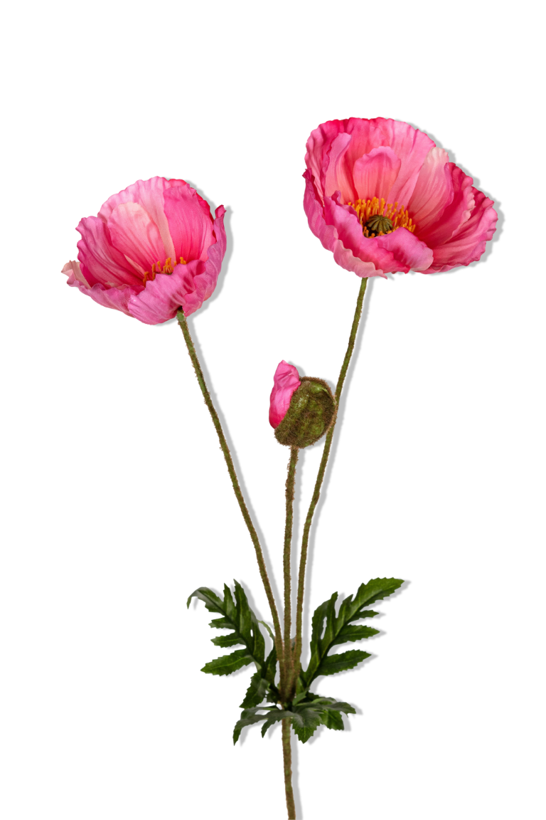 https://cdn.warentuin.nl/media/catalog/product/S/C/SCAN5414088391106_01_louis_maes_papaver_l76cm_cerise_kunstbloem_2074.png