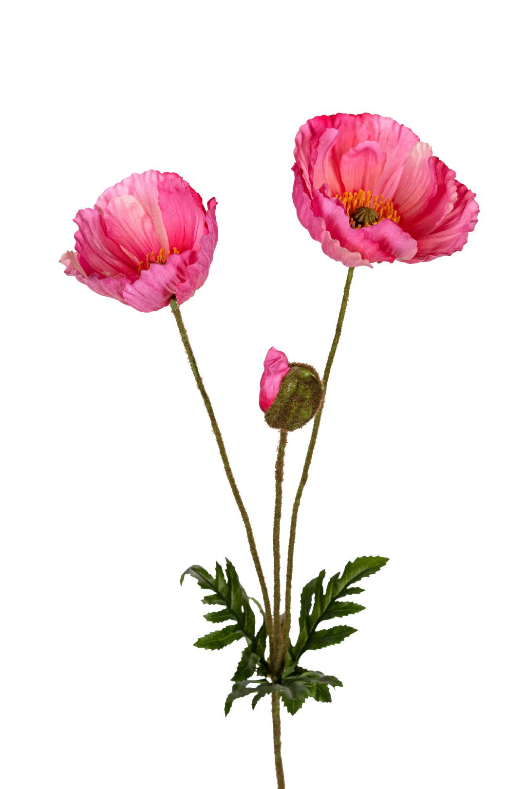 https://cdn.warentuin.nl/media/catalog/product/S/C/SCAN5414088391106_louis_maes_kunstbloem_papaver_l76cm_cerise_kunstbloem_louis_m_0295.jpg
