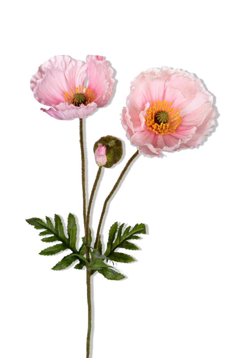 https://cdn.warentuin.nl/media/catalog/product/S/C/SCAN5414088391144_01_louis_maes_papaver_l76cm_roze_kunstbloem_9690.png