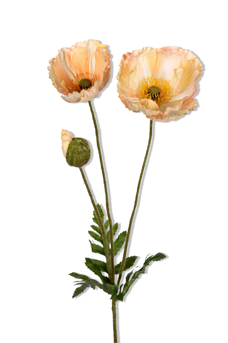 https://cdn.warentuin.nl/media/catalog/product/S/C/SCAN5414088391175_01_louis_maes_papaver_l76cm_zalm_kunstbloem_e121.png