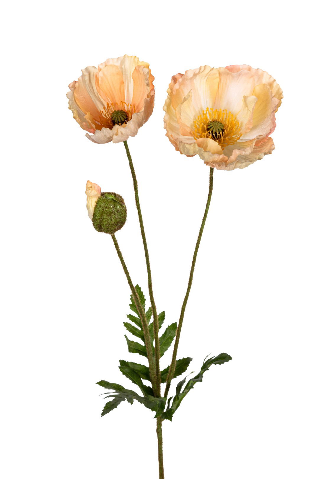 https://cdn.warentuin.nl/media/catalog/product/S/C/SCAN5414088391175_louis_maes_kunstbloem_papaver_l76cm_zalm_kunstbloem_louis_mae_7c64.jpg