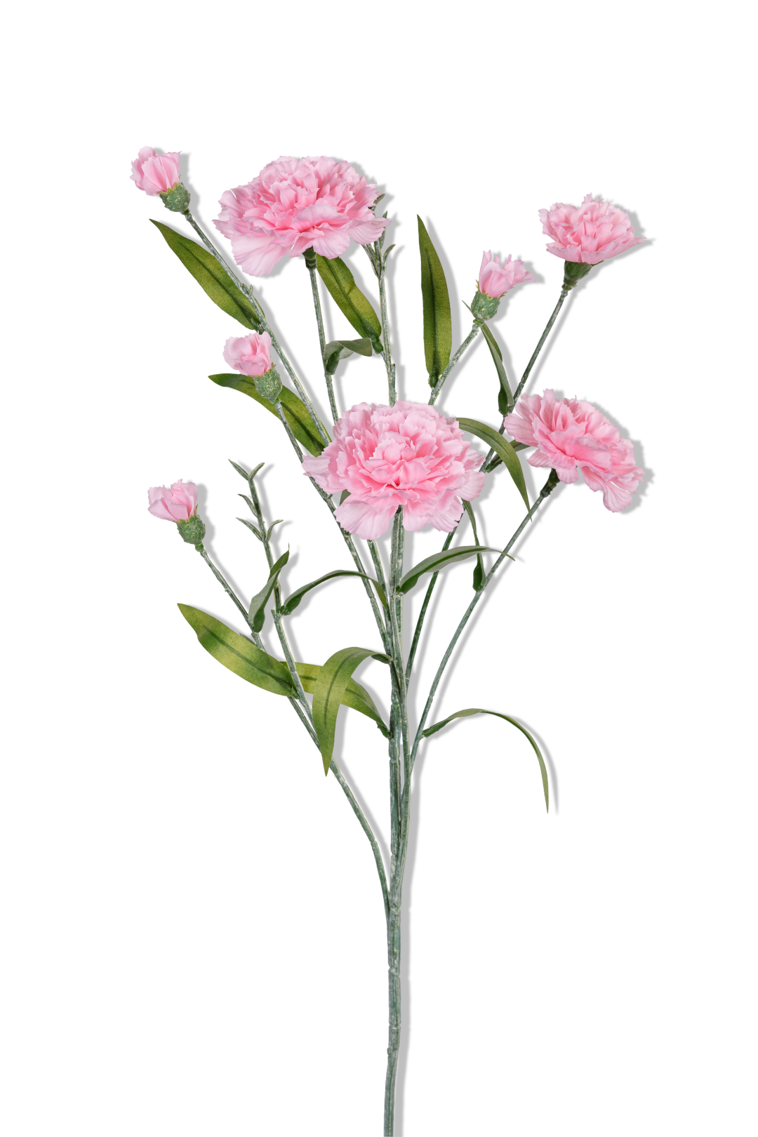 https://cdn.warentuin.nl/media/catalog/product/S/C/SCAN5414088391434_01_louis_maes_dianthus_l70cm_roze_kunstbloem_8705.png