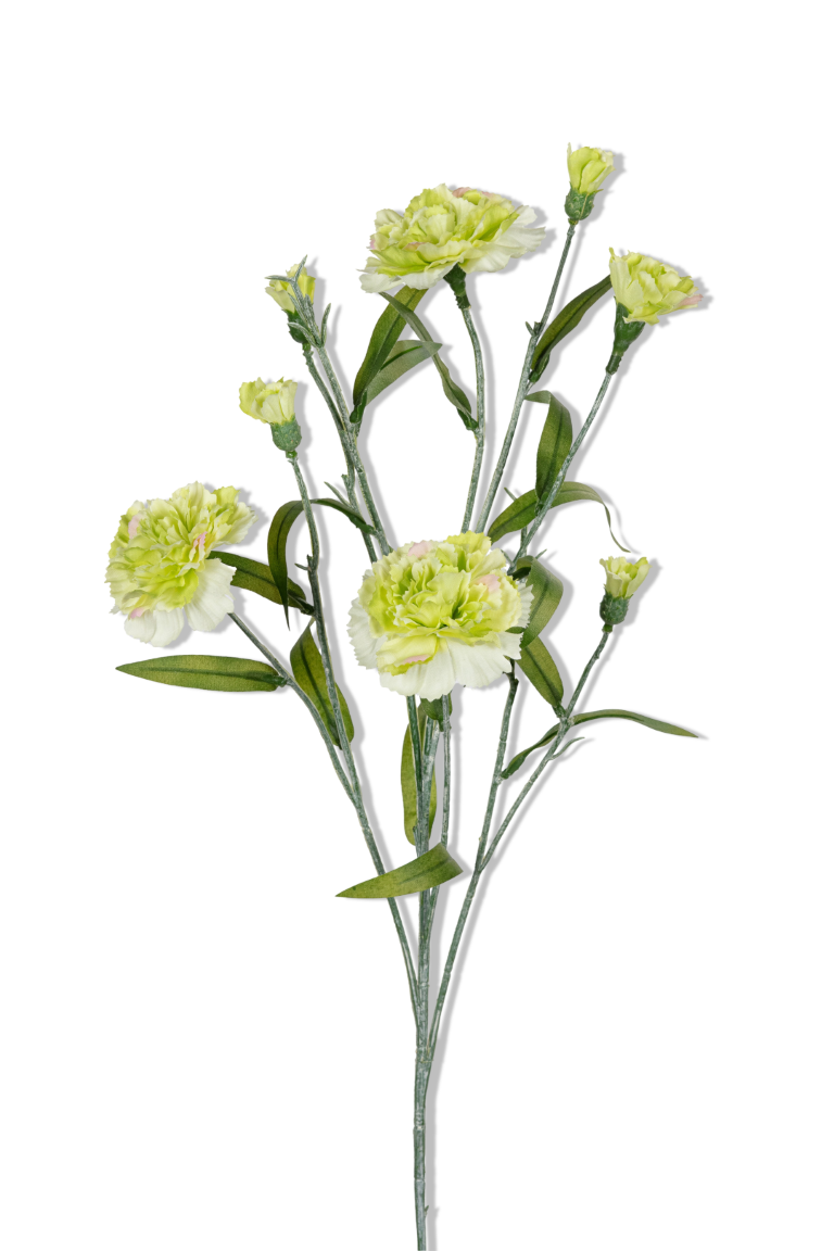 https://cdn.warentuin.nl/media/catalog/product/S/C/SCAN5414088391441_01_louis_maes_dianthus_l70cm_groen_kunstbloem_fc16.png