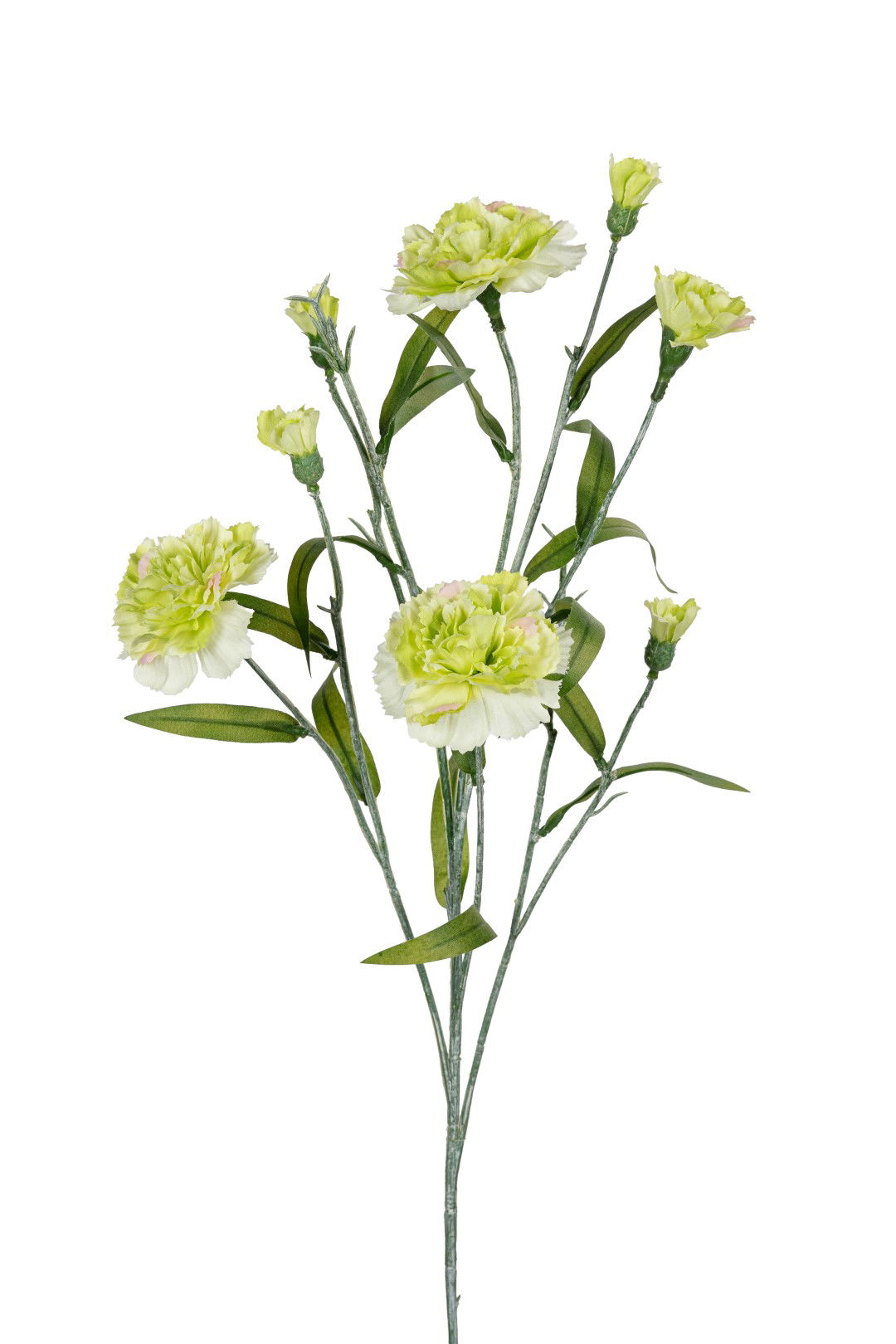 Louis maes Dianthus l70cm groen kunstbloem  - 