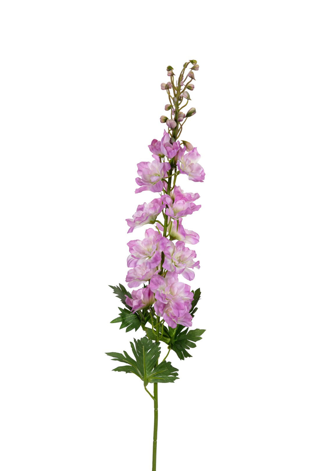 https://cdn.warentuin.nl/media/catalog/product/S/C/SCAN5414088391472_louis_maes_kunstbloem_delphinium_l78cm_mauve_kunstbloem_louis_4459.jpg