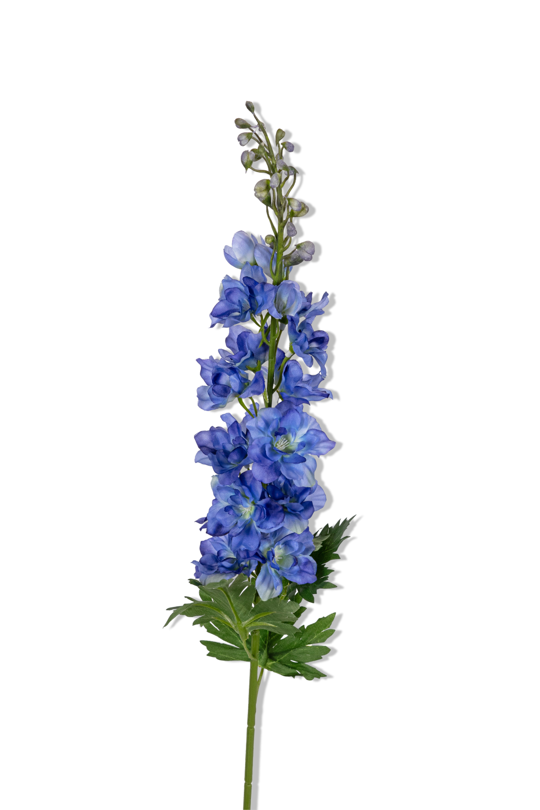 https://cdn.warentuin.nl/media/catalog/product/S/C/SCAN5414088391489_01_louis_maes_delphinium_l78cm_blauw_kunstbloem_a457.png