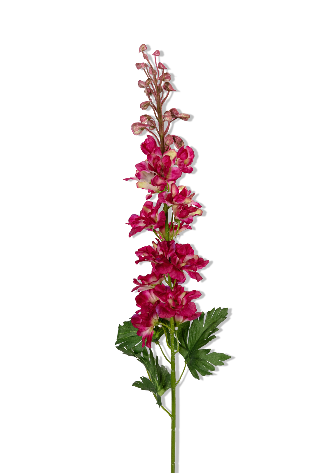 https://cdn.warentuin.nl/media/catalog/product/S/C/SCAN5414088391496_01_louis_maes_delphinium_l78cm_cerise_kunstbloem_e42b.png