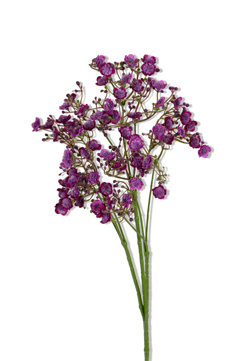 https://cdn.warentuin.nl/media/catalog/product/S/C/SCAN5414088391519_01_louis_maes_gypsophila_l70cm_paars_kunstbloem_983a.png