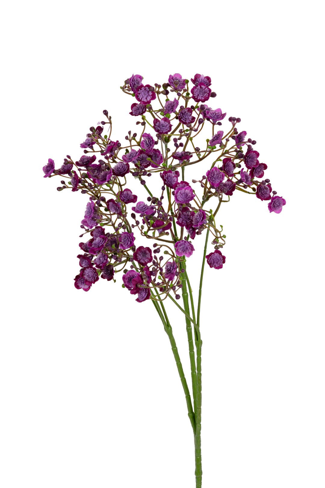 https://cdn.warentuin.nl/media/catalog/product/S/C/SCAN5414088391519_louis_maes_kunstbloem_gypsophila_l70cm_paars_kunstbloem_louis_2bc3.jpg