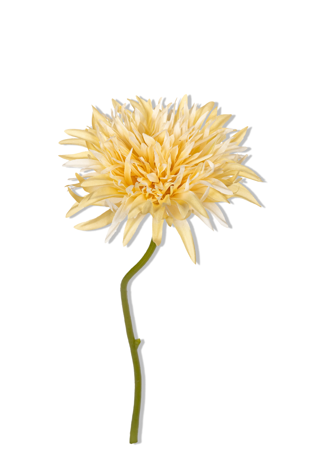 https://cdn.warentuin.nl/media/catalog/product/S/C/SCAN5414088391960_01_louis_maes_gerbera_wild_l29cm_geel_kunstbloem_fa8d.png