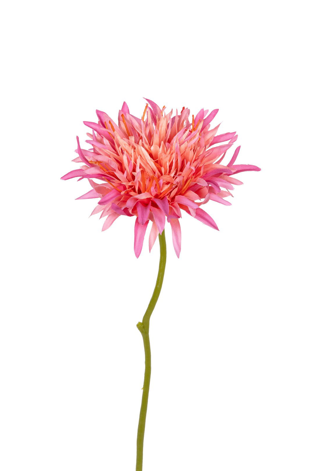 https://cdn.warentuin.nl/media/catalog/product/S/C/SCAN5414088391984_louis_maes_kunstbloem_gerbera_wild_l29cm_roze_kunstbloem_loui_04d4.jpg