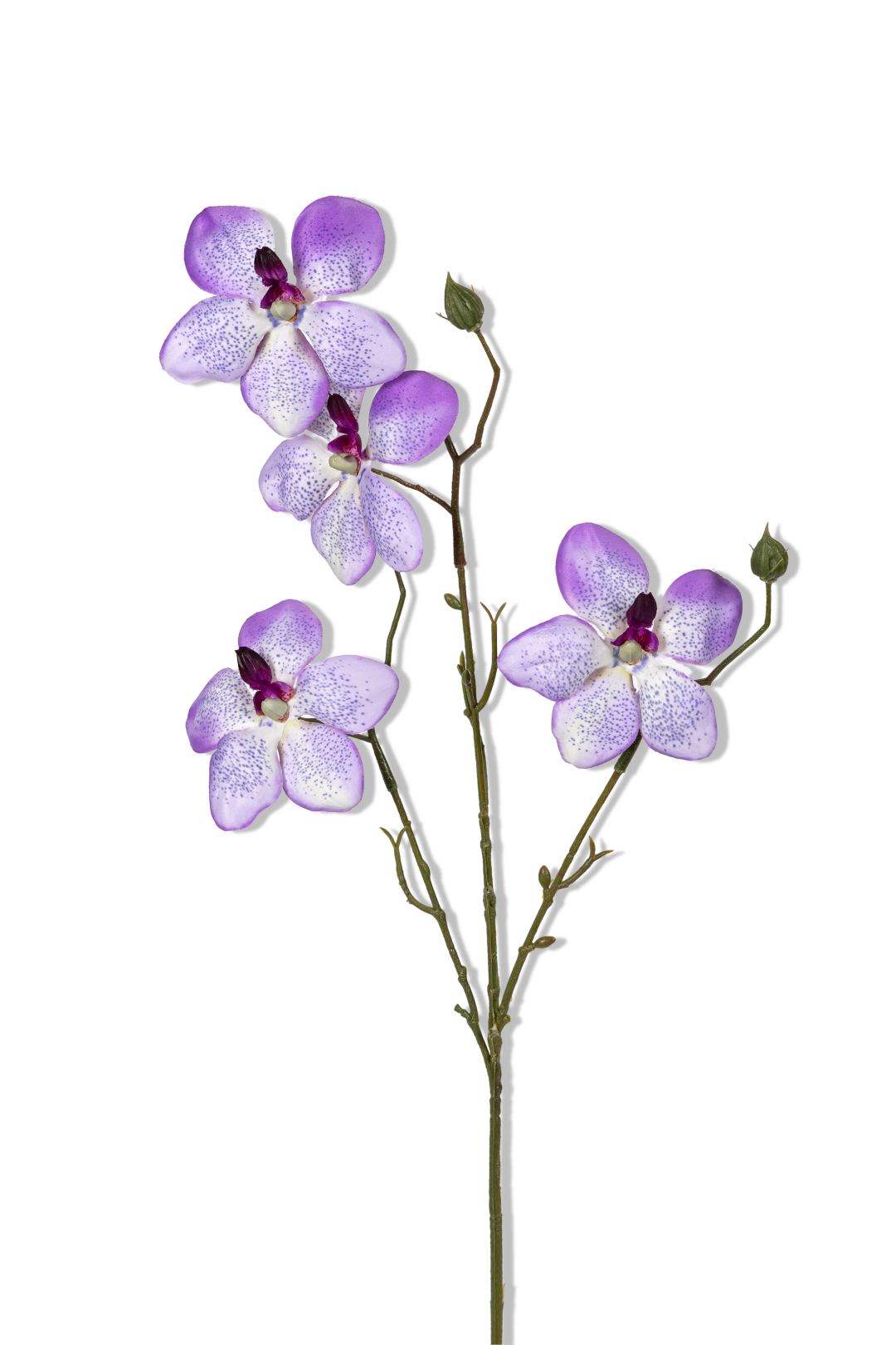 https://cdn.warentuin.nl/media/catalog/product/S/C/SCAN5414088392493_01_louis_maes_orchidee_l55cm_lila_kunstbloem_658d.png