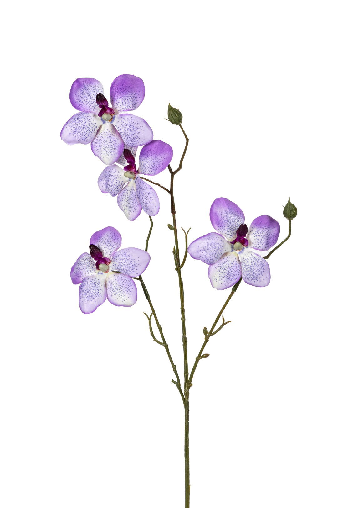 Louis maes Orchidee l55cm lila kunstbloem  - 