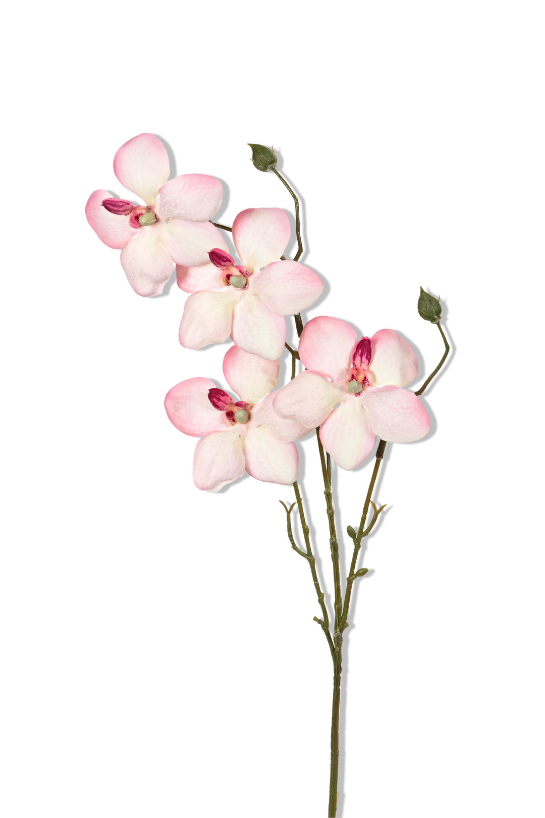 https://cdn.warentuin.nl/media/catalog/product/S/C/SCAN5414088392509_01_louis_maes_orchidee_l55cm_roze_kunstbloem_ffaf.png