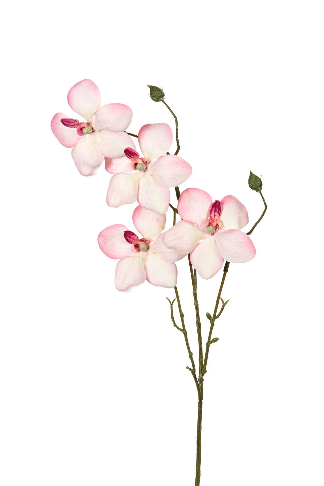 Louis maes Orchidee l55cm roze kunstbloem  - 