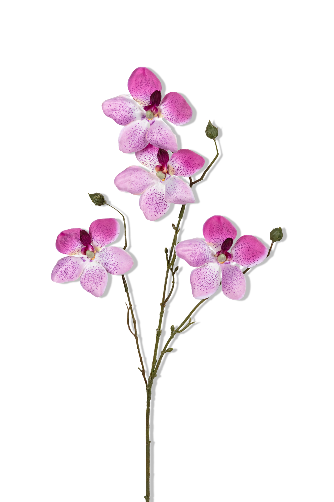 https://cdn.warentuin.nl/media/catalog/product/S/C/SCAN5414088392516_01_louis_maes_orchidee_l55cm_magenta_kunstbloem_6ffb.png