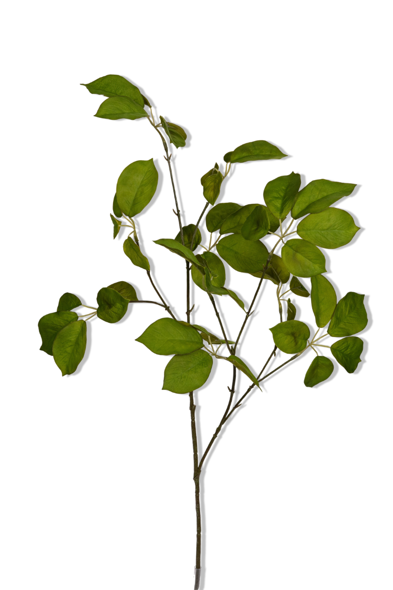 https://cdn.warentuin.nl/media/catalog/product/S/C/SCAN5414088392615_01_louis_maes_rozenblad_l88cm_groen_kunstbloem_70ae.png