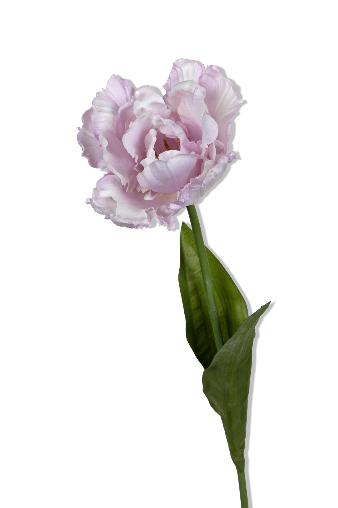 https://cdn.warentuin.nl/media/catalog/product/S/C/SCAN5414088392622_01_louis_maes_papegaaitulp_l66cm_lila_kunstbloem_3dac.png