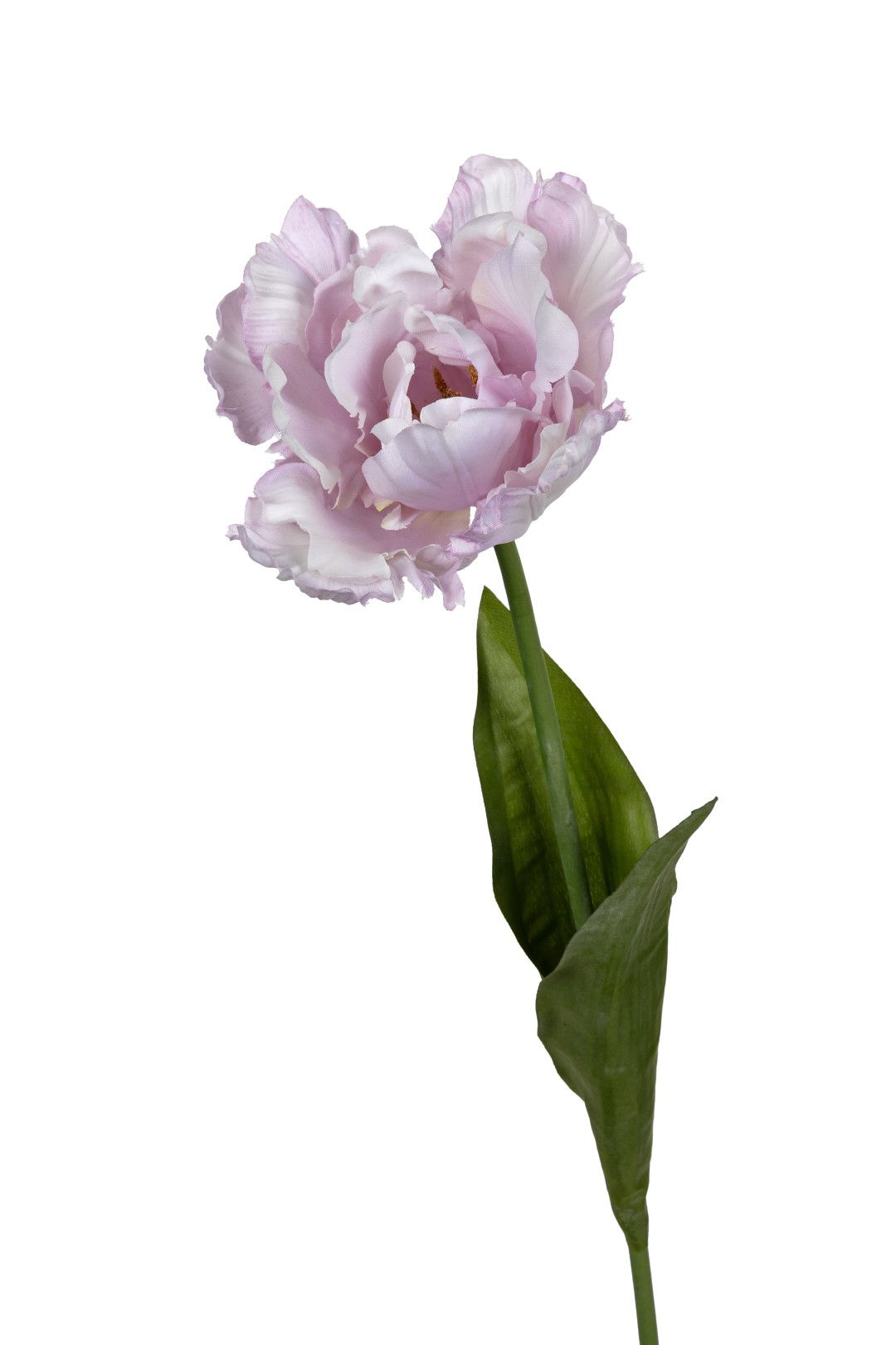 https://cdn.warentuin.nl/media/catalog/product/S/C/SCAN5414088392622_louis_maes_kunstbloem_papegaaitulp_l66cm_lila_kunstbloem_loui_3d05.jpg