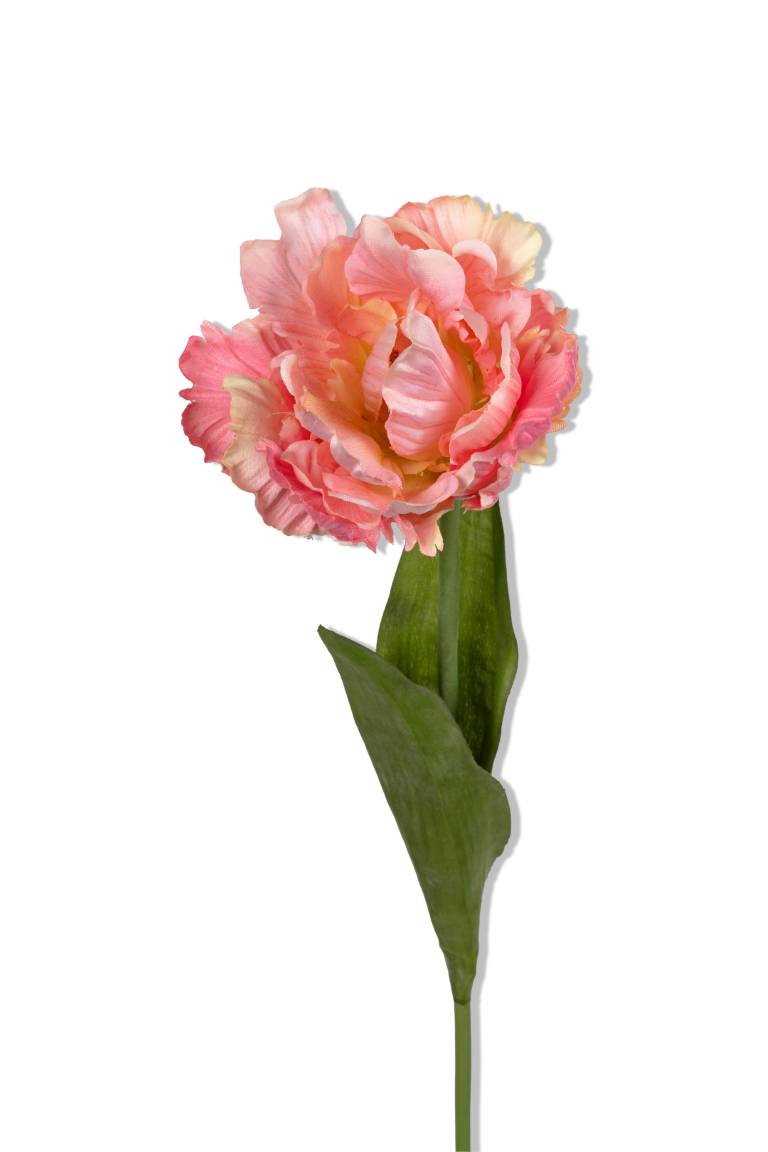 https://cdn.warentuin.nl/media/catalog/product/S/C/SCAN5414088392646_01_louis_maes_papegaaitulp_l66cm_zalmroze_kunstbloem_33d8.png