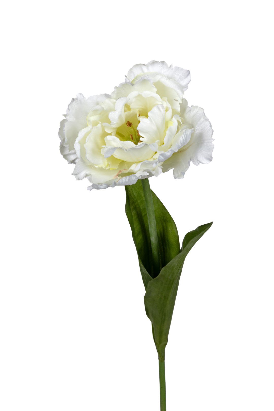 Louis maes Papegaaitulp l66cm wit kunstbloem  - 